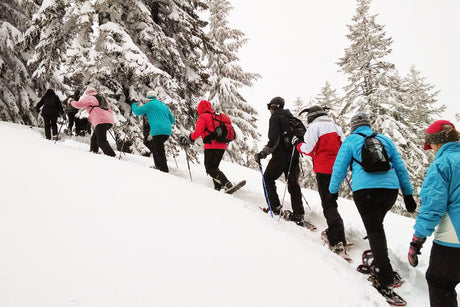 group of skiers walking up snow covered mountain