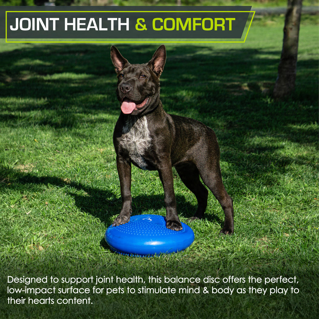 Balance Disc Target Core Balance Disc – ProsourceFit