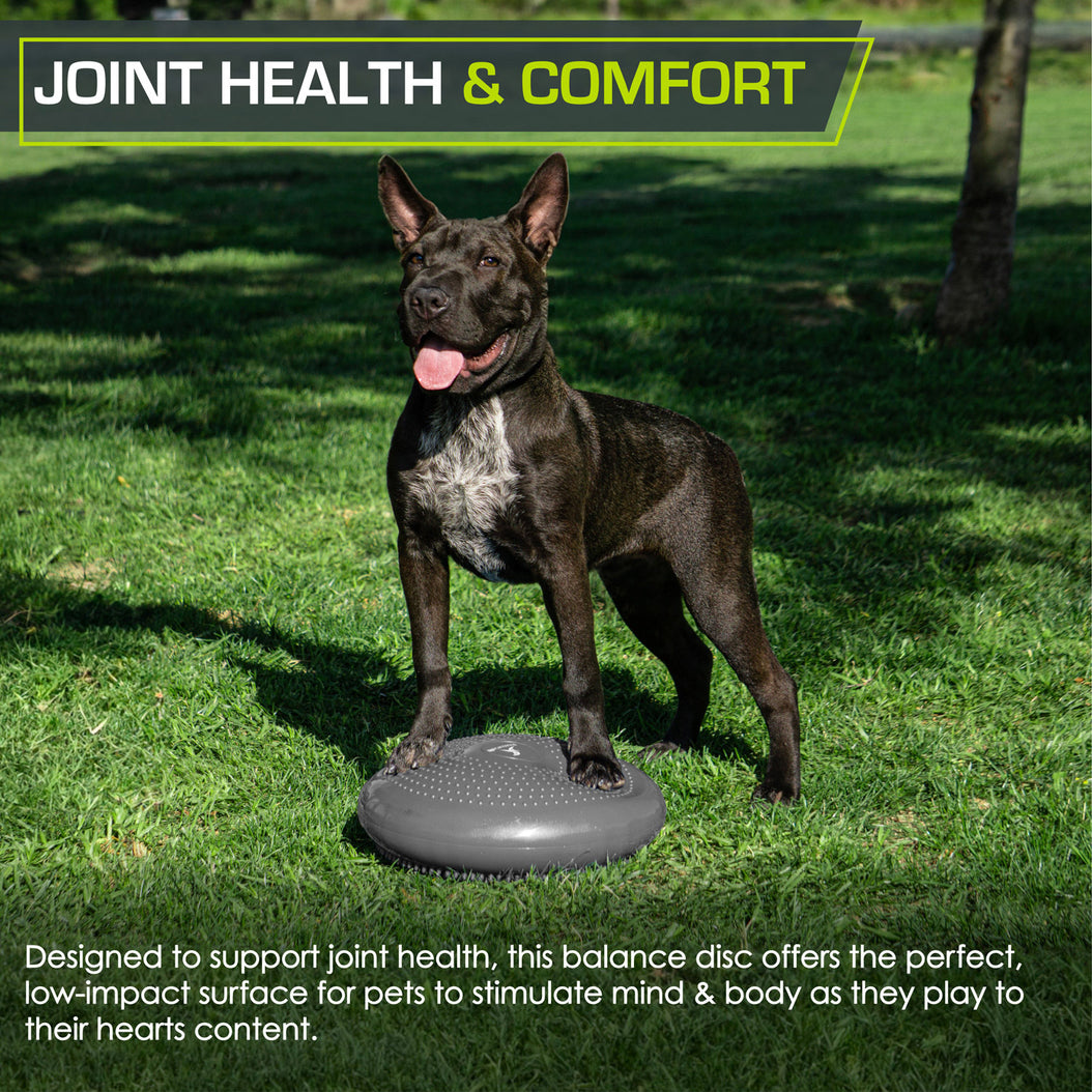 Star Balance Disc Core Balance Disc – ProsourceFit